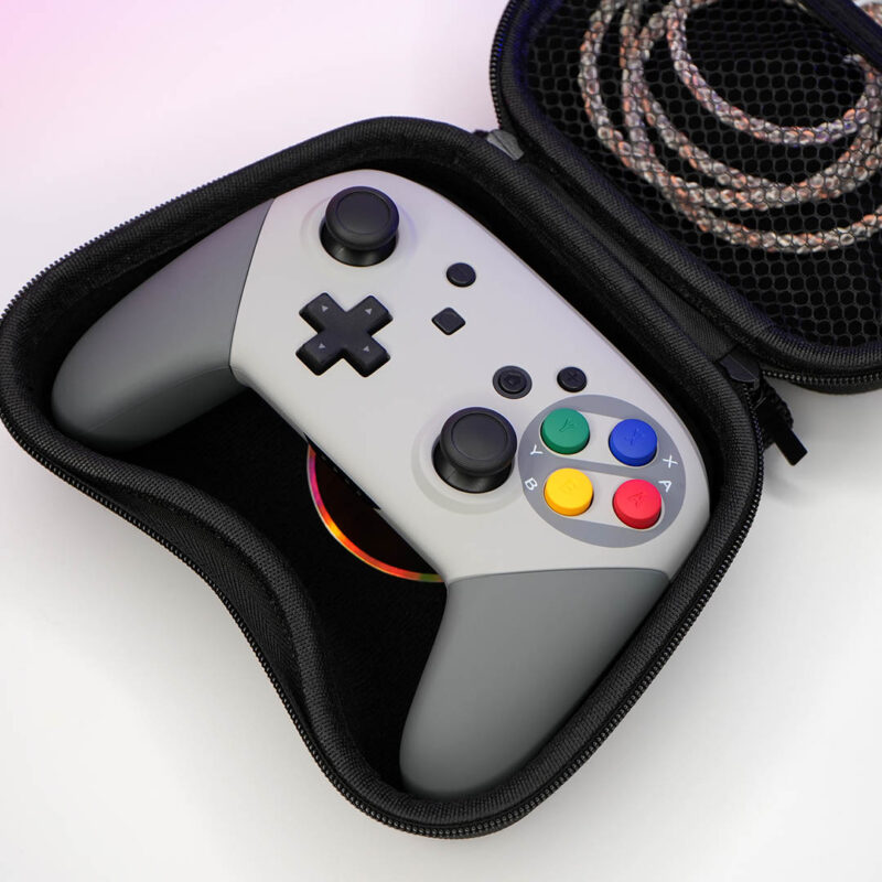 Switch Pro Controller in Controller Case